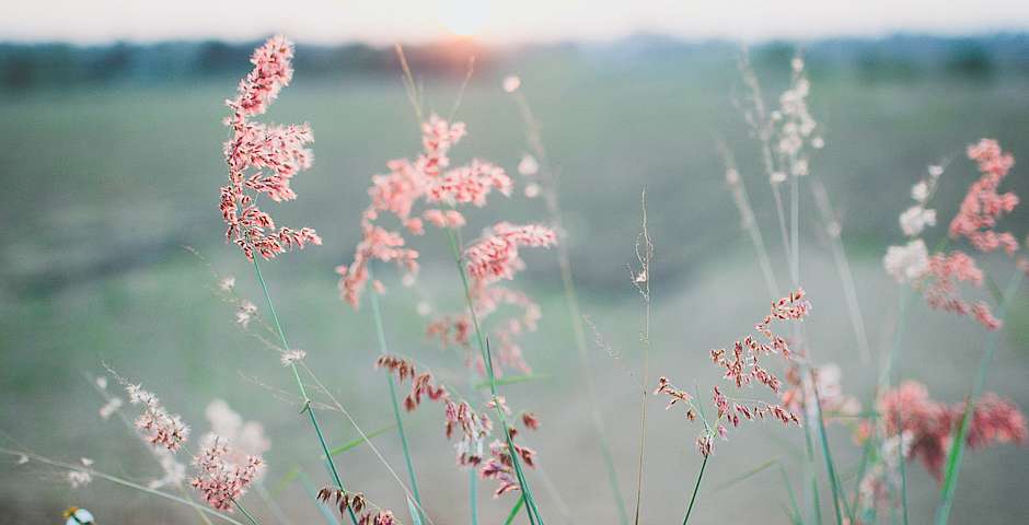 Señor ¡danos tu paz!